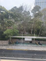 -上海首尔丽格医疗美容医院