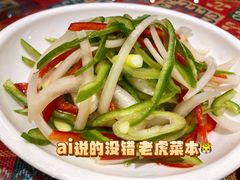老虎菜-东方亚克西餐厅(西康路店)