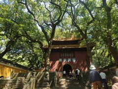 -普陀山风景名胜区-法雨禅寺