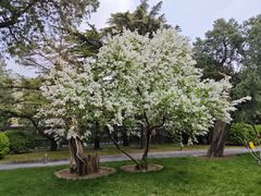 -北京市劳动人民文化宫(太庙)