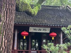 -上海醉白池公园