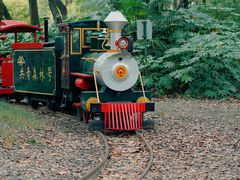 -上海共青森林公园