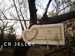 -山东理工大学