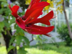 -国家植物园南园