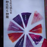 12年卖出1900万份经典毛肚-九鼎轩