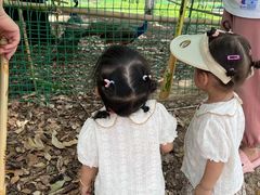 -中国扬子鳄村