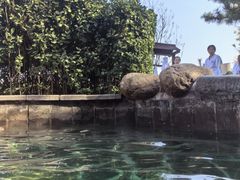 -徂徕山森林康养度假谷温泉
