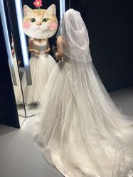 -Vera Wang婚纱礼服旗舰店