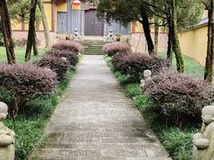 -缙云山景区