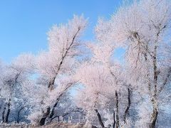 -雾凇岛