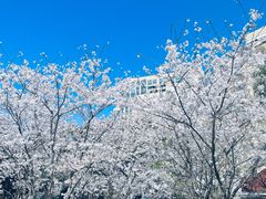 -徐家汇源景区-衡山公园