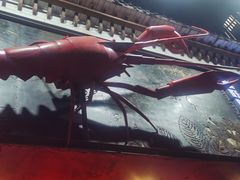 -龙巢盱眙龙虾·牛蛙·烧烤宵夜(八卦岭店)