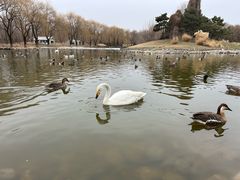 -北京野生动物园