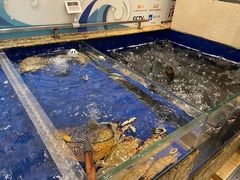 -高佳庄·舟山海鲜(海景旗舰店)