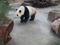 -宁波野生动物园