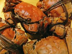 -牛New寿喜烧(闵行龙湖天街店)