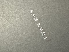 -BLACKSWAN黑天鹅(环球店)
