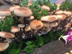 -为什么牛潮汕牛肉火锅(万胜广场店)