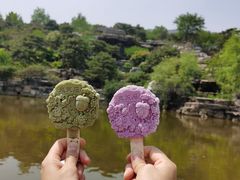 -北京西山国家森林公园