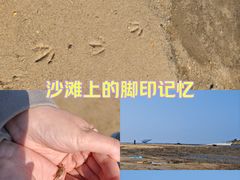 -营口金泰珑悦海景大酒店