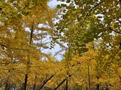 -森林公园(尖草坪区)