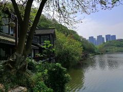 -重庆彩云湖湿地公园
