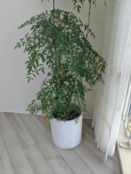 -HEYAN荷妍专业脱毛连锁机构