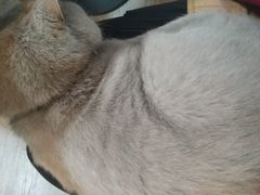 -小时光咖啡馆(北锣鼓巷店)
