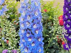 -人民公园(罗湖区)