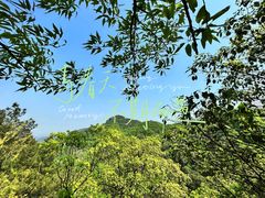 -南山植物园