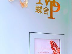 -蝶舍·MAISON PAPILLON