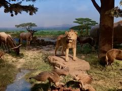 -国家自然博物馆