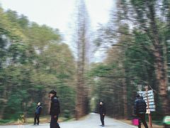 -同里国家湿地公园