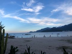 -花海间·即刻露营