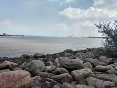 -滨江森林公园-真人CS野战场