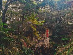 -句容茅山景区