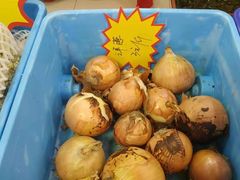 -喜福楼(黑山大街店)