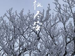 -安吉龙王山风景区