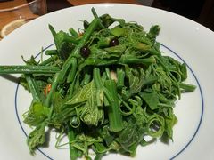 木姜子拌丝瓜尖-一坐一忘云南菜(北京skp店)