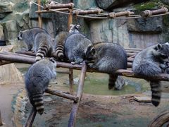 -杭州野生动物世界