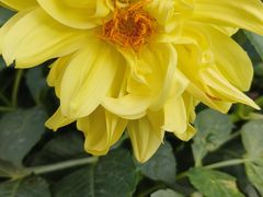 -武陵山森林公园