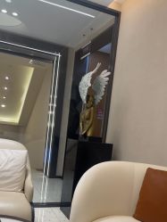 -杭州米兰柏羽医疗美容医院