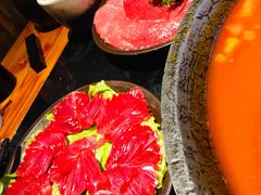 -钢管厂五区小郡肝串串香火锅(人民广场店)