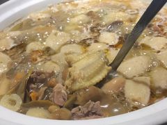 -滇铺子·云南特色菜·第九届野生菌美食节(东风东路c86店)