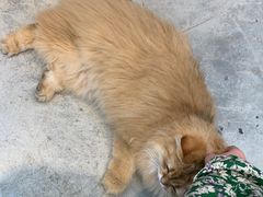 -自由生长植物工作室(深港花卉中心店)