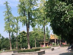 -明故宫遗址公园
