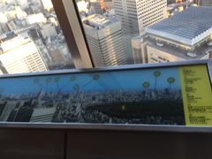 -东京都厅舍