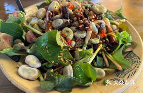 Fava Bean and Tuber Salad