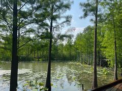 -昆山城市生态森林公园