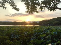 -楼外楼(西湖景区孤山路店)